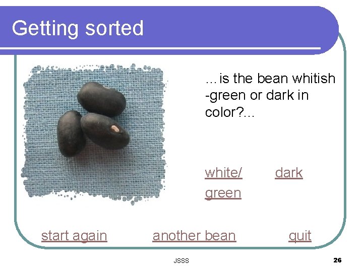 Getting sorted …is the bean whitish -green or dark in color? . . .