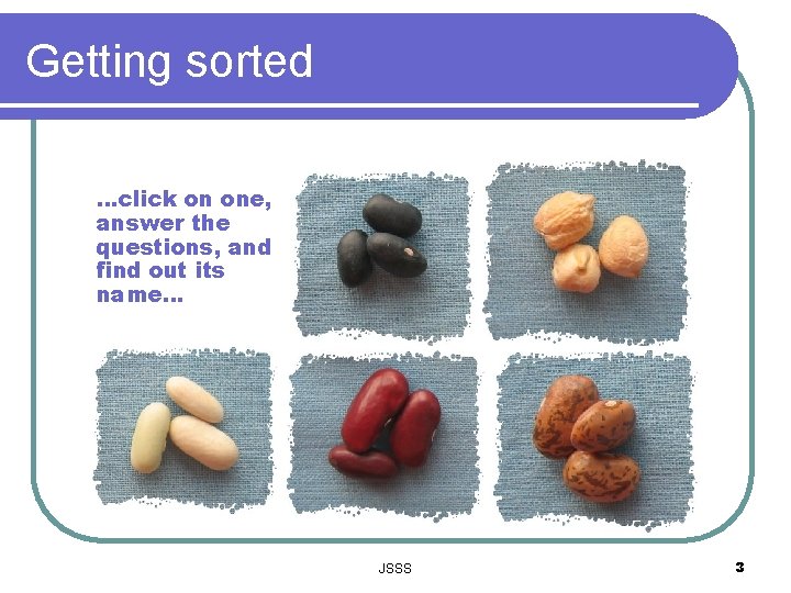 Getting sorted …click on one, answer the questions, and find out its name… JSSS