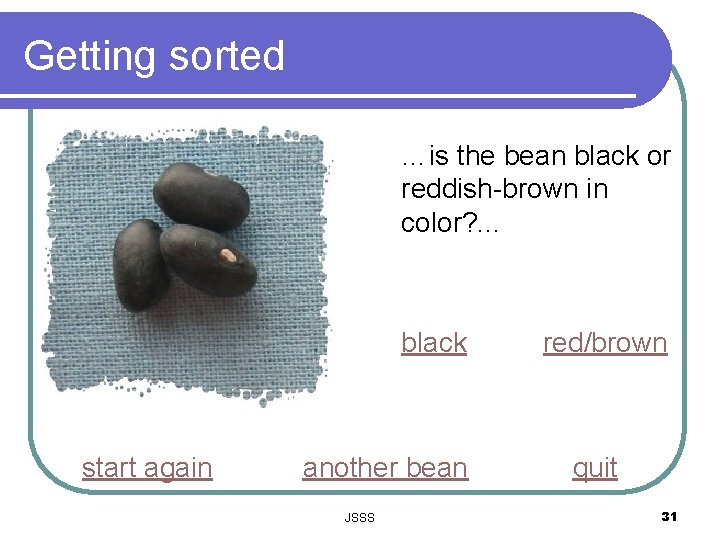 Getting sorted …is the bean black or reddish-brown in color? . . . black