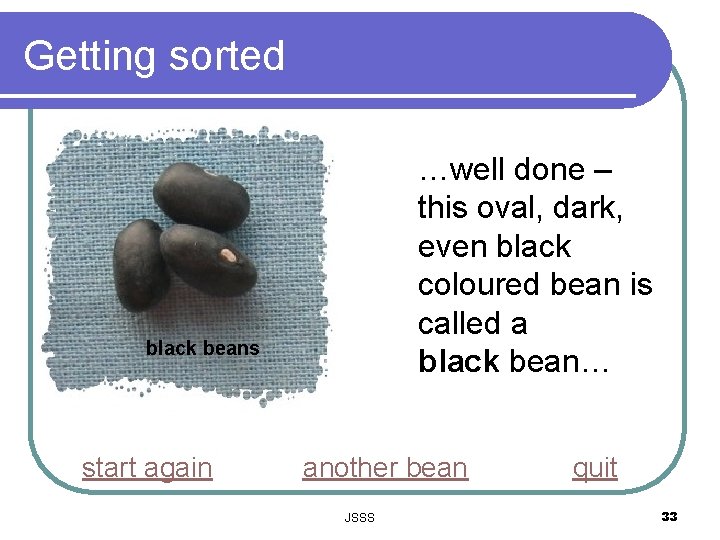 Getting sorted …well done – this oval, dark, even black coloured bean is called