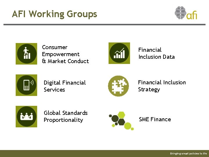 AFI Working Groups Consumer Empowerment & Market Conduct Financial Inclusion Data Digital Financial Services