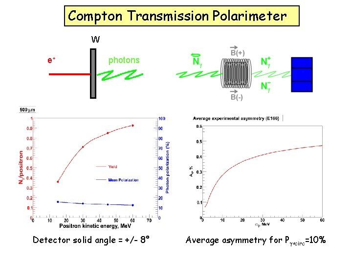 Compton Transmission Polarimeter W e+ photons Pg, circ=100% Detector solid angle = +/- 8°