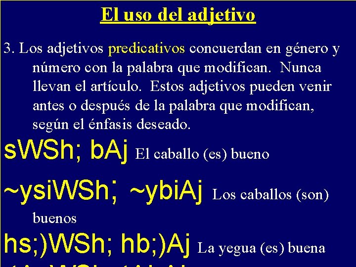 El uso del adjetivo 3. Los adjetivos predicativos - concuerdan en género y número