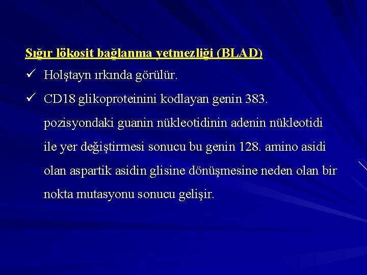 Sığır lökosit bağlanma yetmezliği (BLAD) ü Holştayn ırkında görülür. ü CD 18 glikoproteinini kodlayan