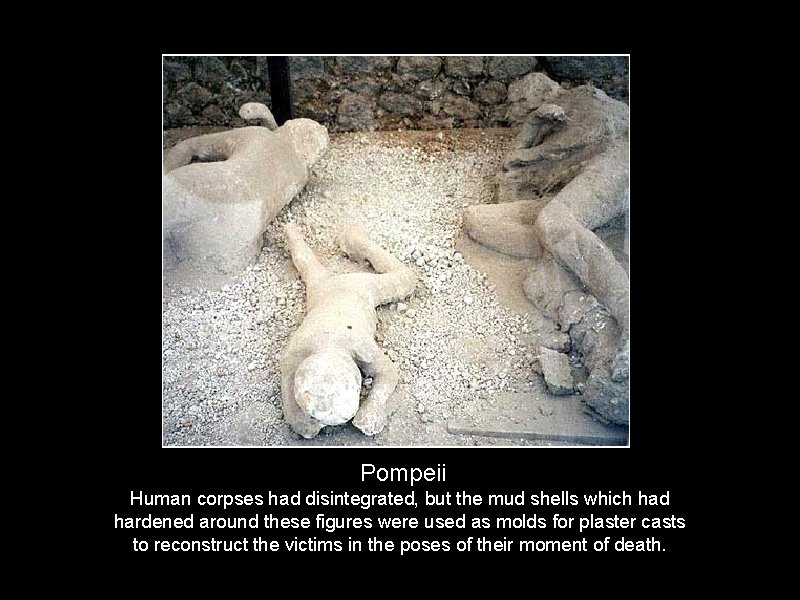Pompeii Human corpses had disintegrated, but the mud shells which had hardened around these
