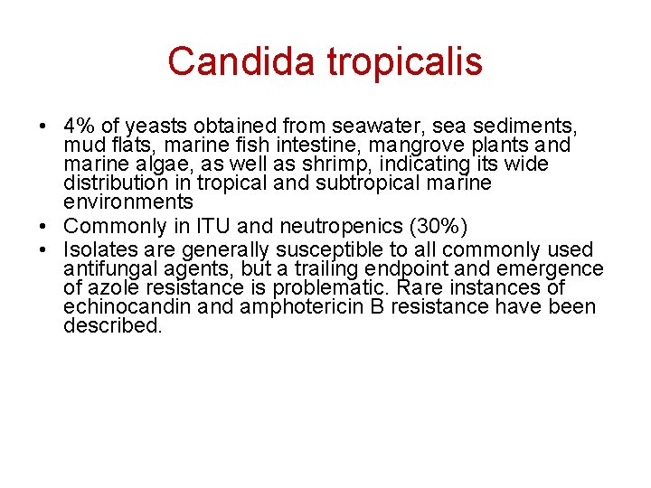 Candida tropicalis • 4% of yeasts obtained from seawater, sea sediments, mud flats, marine
