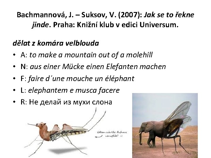 Bachmannová, J. – Suksov, V. (2007): Jak se to řekne jinde. Praha: Knižní klub