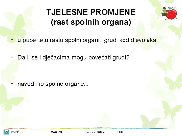 TJELESNE PROMJENE (rast spolnih organa) • u pubertetu rastu spolni organi i grudi kod