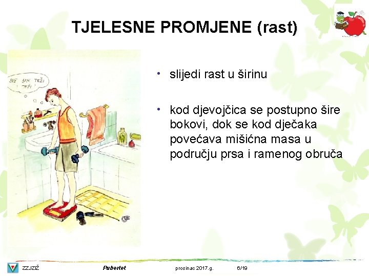 TJELESNE PROMJENE (rast) • slijedi rast u širinu • kod djevojčica se postupno šire