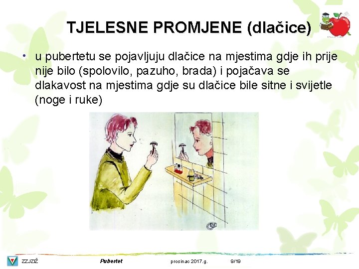 TJELESNE PROMJENE (dlačice) • u pubertetu se pojavljuju dlačice na mjestima gdje ih prije