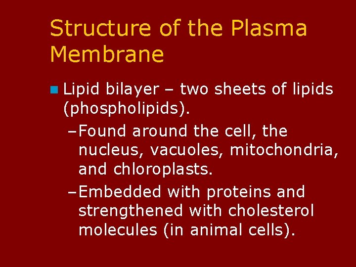 Structure of the Plasma Membrane n Lipid bilayer – two sheets of lipids (phospholipids).