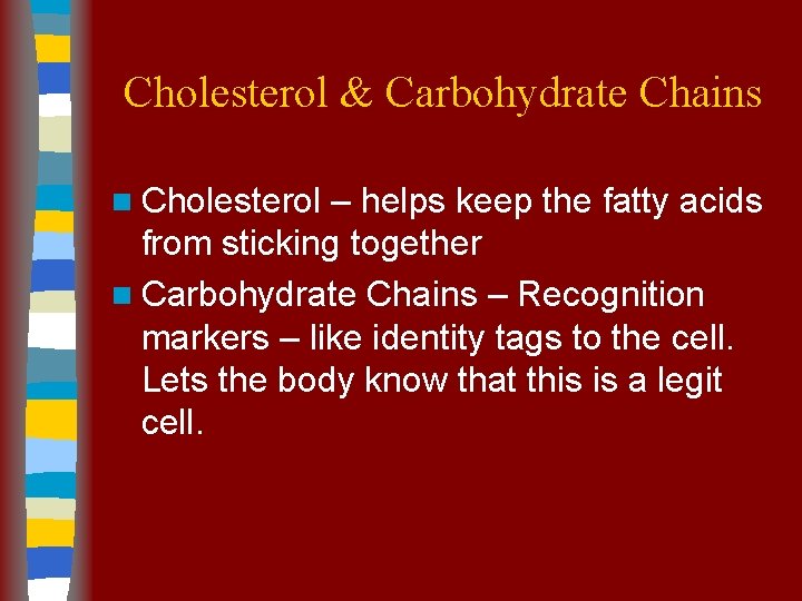 Cholesterol & Carbohydrate Chains n Cholesterol – helps keep the fatty acids from sticking