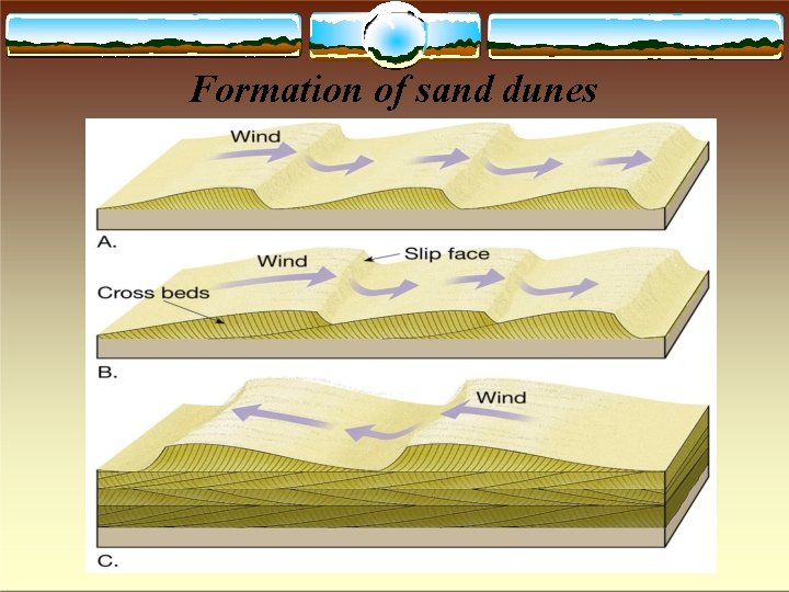 Formation of sand dunes 