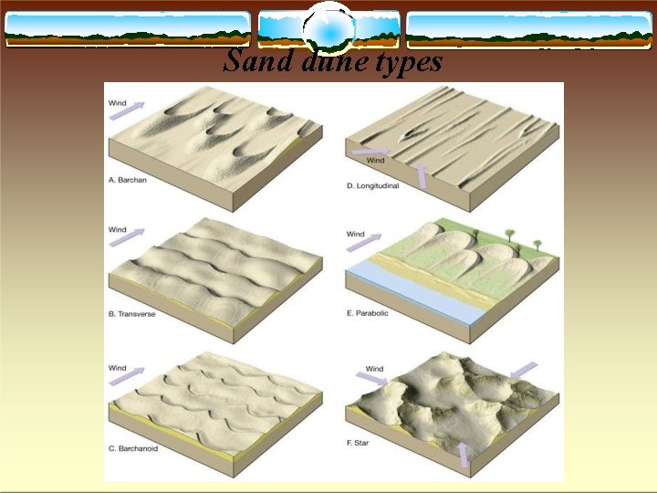 Sand dune types 