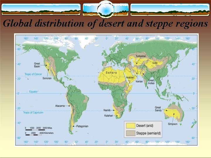 Global distribution of desert and steppe regions 
