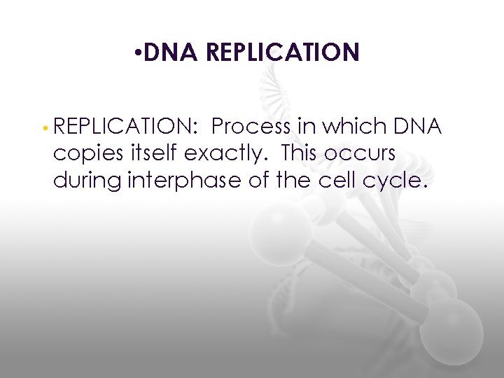  • DNA REPLICATION • REPLICATION: Process in which DNA copies itself exactly. This