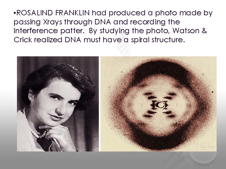  • ROSALIND FRANKLIN had produced a photo made by passing Xrays through DNA