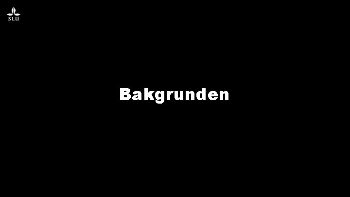 Bakgrunden 