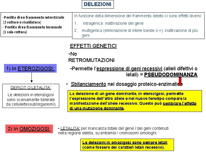 DELEZIONI -Perdita di un frammento interstiziale (2 rotture e risaldatura) - Perdita di un