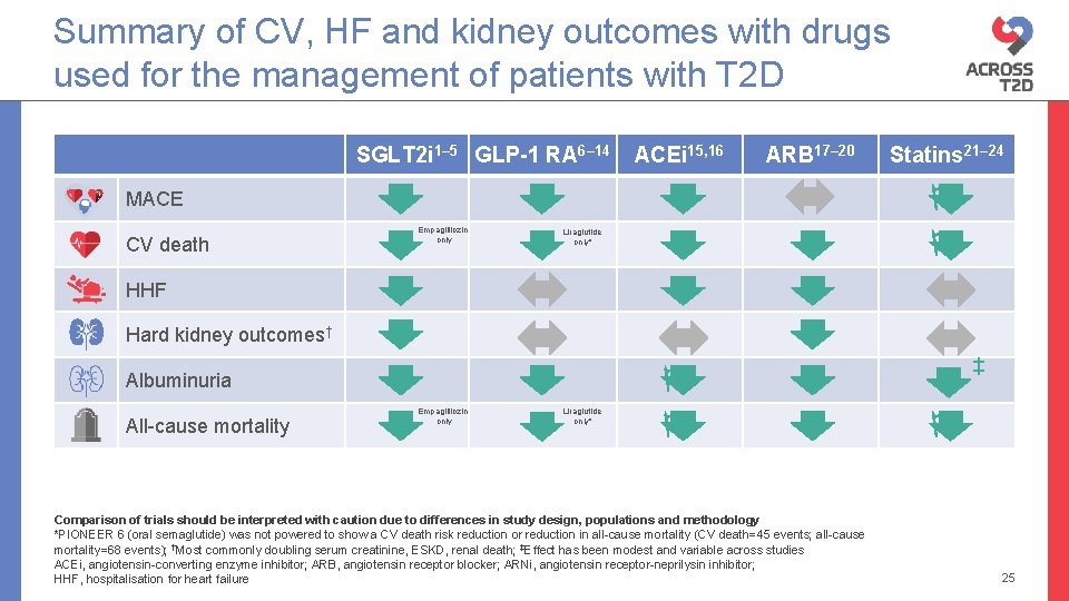 Summary of CV, HF and kidney outcomes with drugs used for the management of