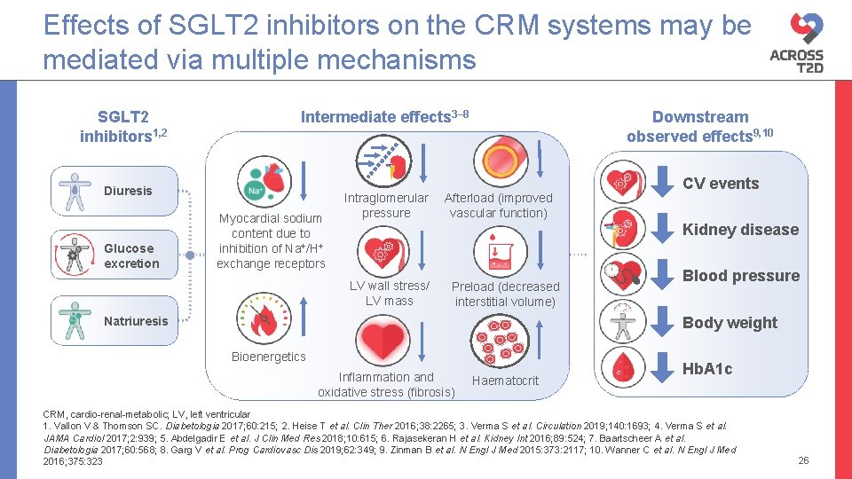 Effects of SGLT 2 inhibitors on the CRM systems may be mediated via multiple