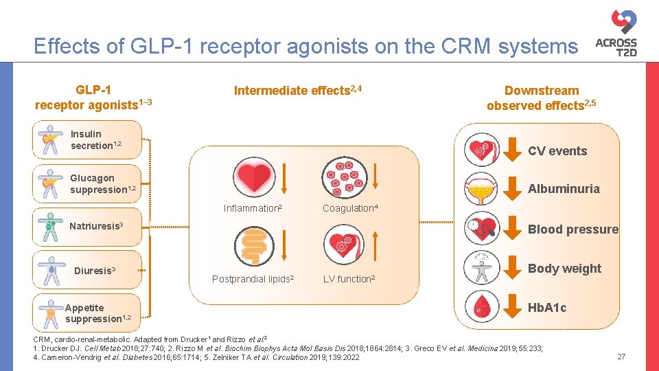 Effects of GLP-1 receptor agonists on the CRM systems GLP-1 receptor agonists 1– 3