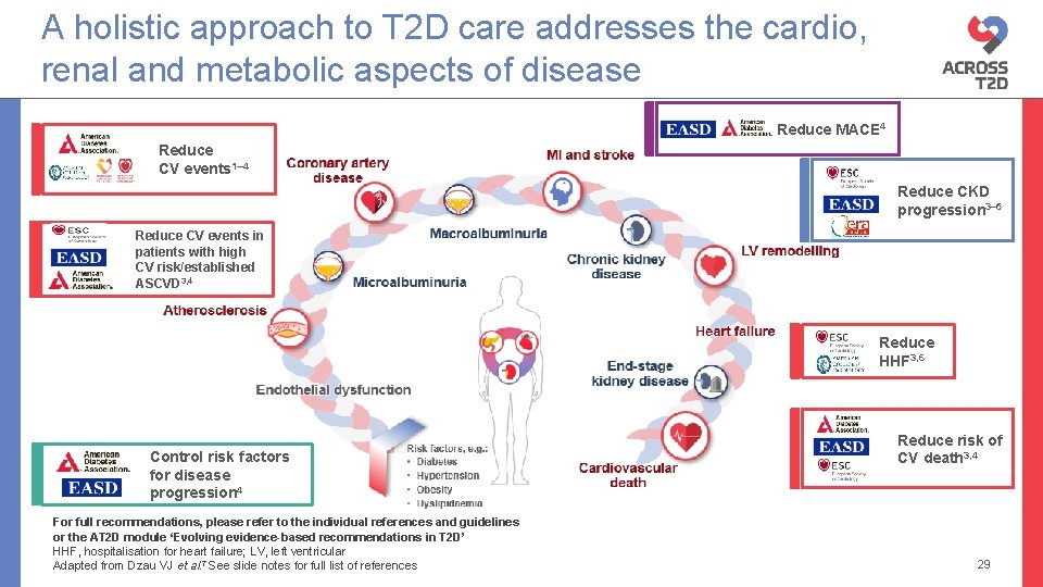 A holistic approach to T 2 D care addresses the cardio, renal and metabolic