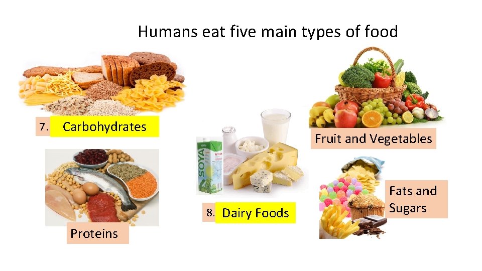 Humans eat five main types of food 7. CCarbohydrates Fruit and Vegetables 8. DDairy