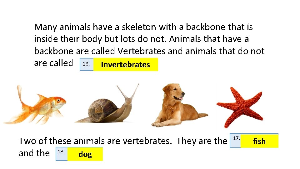 Many animals have a skeleton with a backbone that is inside their body but