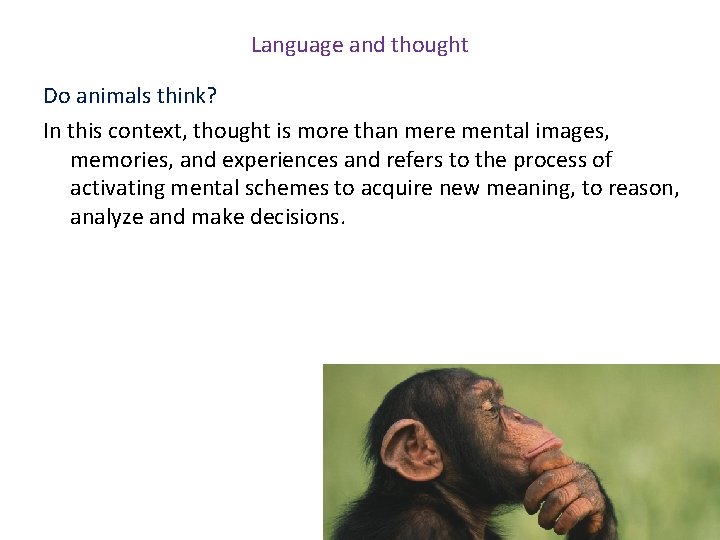 Language and thought Do animals think? In this context, thought is more than mere