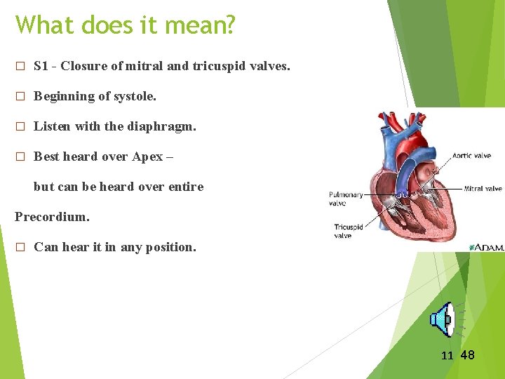 What does it mean? � S 1 - Closure of mitral and tricuspid valves. What does it mean? � S 1 - Closure of mitral and tricuspid valves.