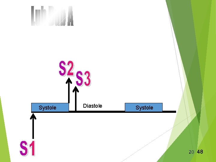 Systole Diastole Systole 20 48 Systole Diastole Systole 20 48