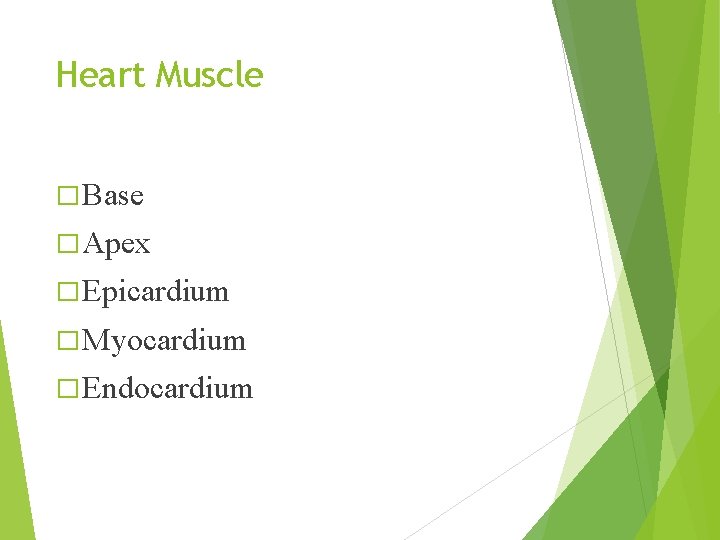 Heart Muscle � Base � Apex � Epicardium � Myocardium � Endocardium Heart Muscle � Base � Apex � Epicardium � Myocardium � Endocardium
