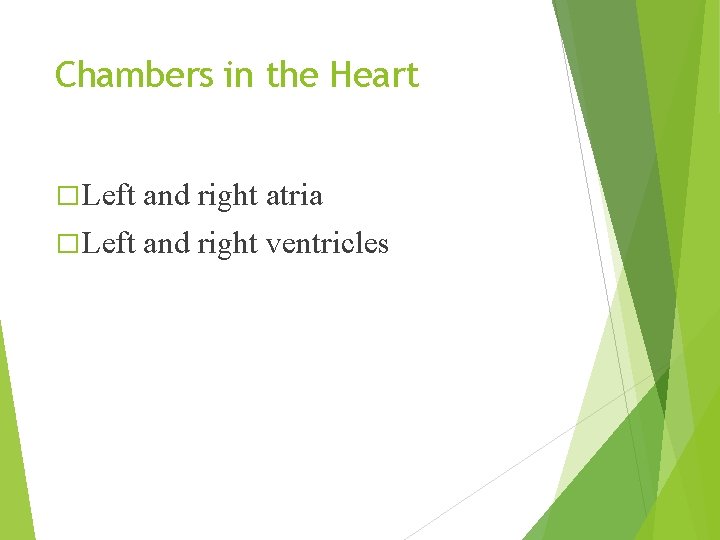 Chambers in the Heart � Left and right atria � Left and right ventricles Chambers in the Heart � Left and right atria � Left and right ventricles