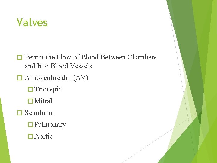 Valves � Permit the Flow of Blood Between Chambers and Into Blood Vessels � Valves � Permit the Flow of Blood Between Chambers and Into Blood Vessels �