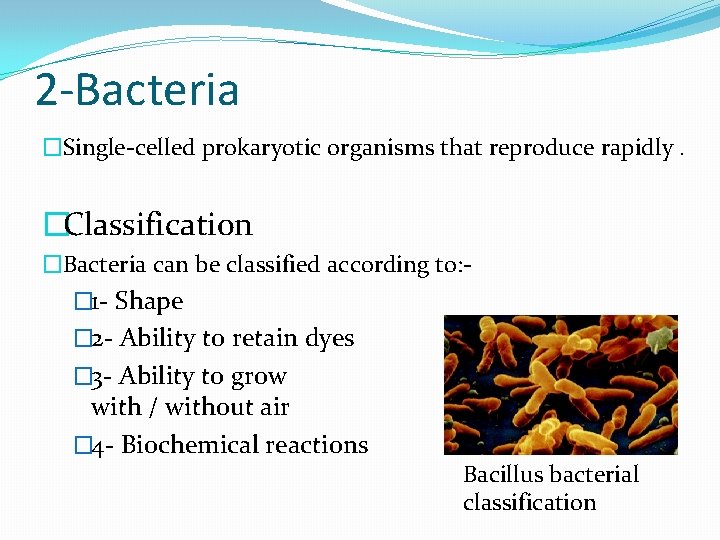2 -Bacteria �Single-celled prokaryotic organisms that reproduce rapidly. �Classification �Bacteria can be classified according