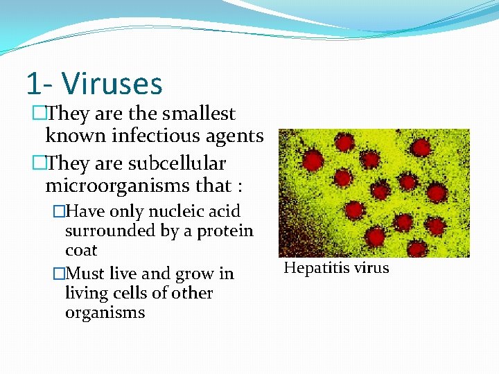 1 - Viruses �They are the smallest known infectious agents �They are subcellular microorganisms