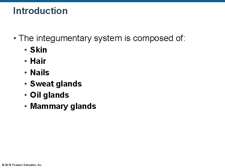 Introduction • The integumentary system is composed of: • • • Skin Hair Nails Introduction • The integumentary system is composed of: • • • Skin Hair Nails