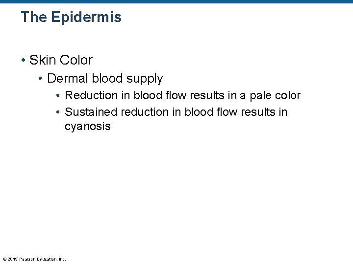 The Epidermis • Skin Color • Dermal blood supply • Reduction in blood flow The Epidermis • Skin Color • Dermal blood supply • Reduction in blood flow