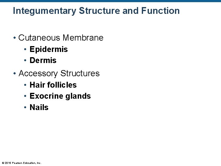 Integumentary Structure and Function • Cutaneous Membrane • Epidermis • Dermis • Accessory Structures Integumentary Structure and Function • Cutaneous Membrane • Epidermis • Dermis • Accessory Structures