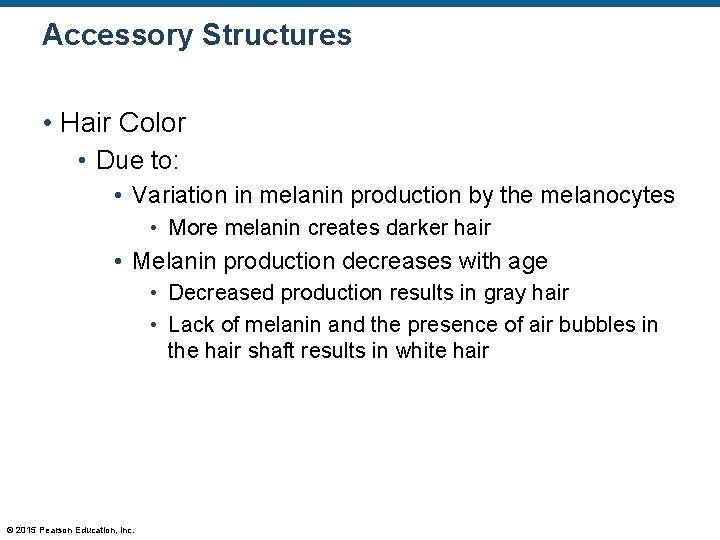 Accessory Structures • Hair Color • Due to: • Variation in melanin production by Accessory Structures • Hair Color • Due to: • Variation in melanin production by