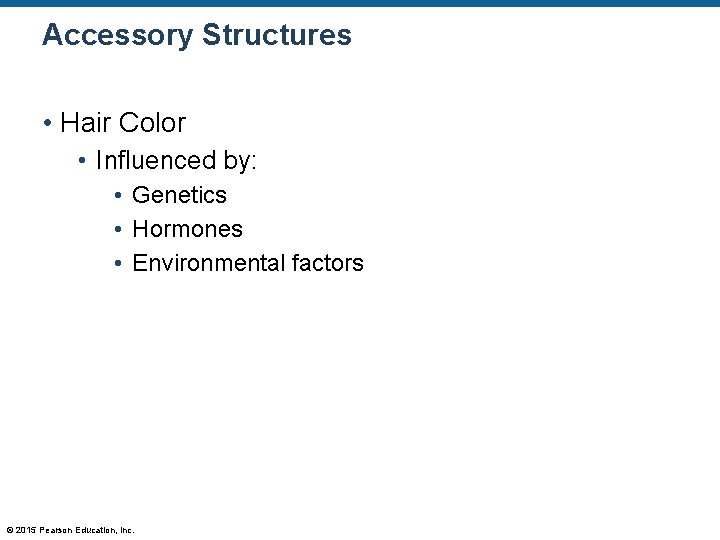 Accessory Structures • Hair Color • Influenced by: • Genetics • Hormones • Environmental Accessory Structures • Hair Color • Influenced by: • Genetics • Hormones • Environmental