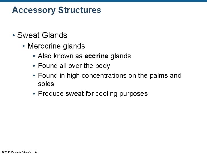 Accessory Structures • Sweat Glands • Merocrine glands • Also known as eccrine glands Accessory Structures • Sweat Glands • Merocrine glands • Also known as eccrine glands