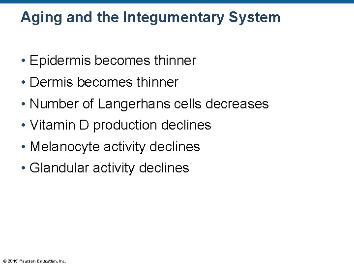 Aging and the Integumentary System • Epidermis becomes thinner • Dermis becomes thinner • Aging and the Integumentary System • Epidermis becomes thinner • Dermis becomes thinner •