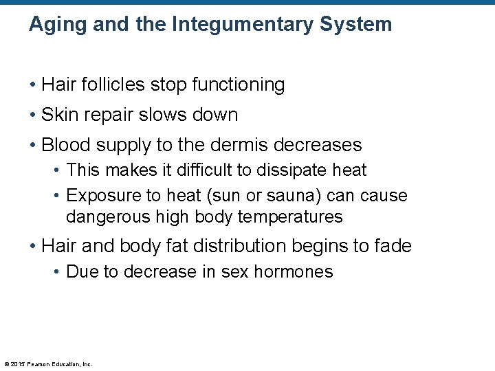 Aging and the Integumentary System • Hair follicles stop functioning • Skin repair slows Aging and the Integumentary System • Hair follicles stop functioning • Skin repair slows