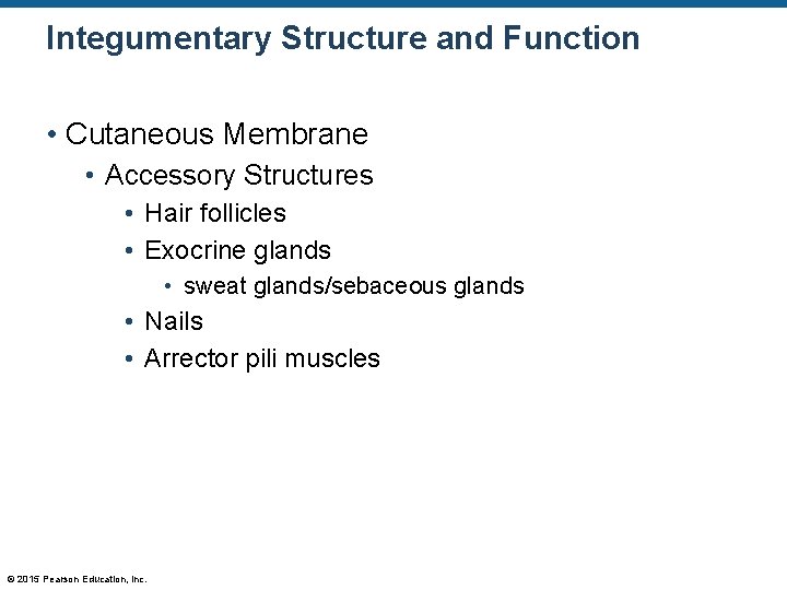 Integumentary Structure and Function • Cutaneous Membrane • Accessory Structures • Hair follicles • Integumentary Structure and Function • Cutaneous Membrane • Accessory Structures • Hair follicles •