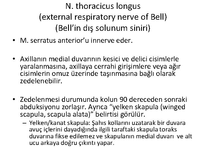 N. thoracicus longus (external respiratory nerve of Bell) (Bell’in dış solunum siniri) • M.