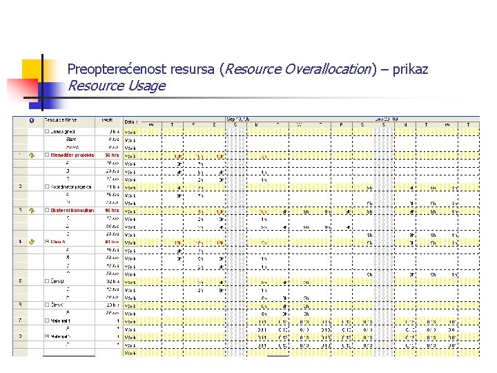Preopterećenost resursa (Resource Overallocation) – prikaz Resource Usage 