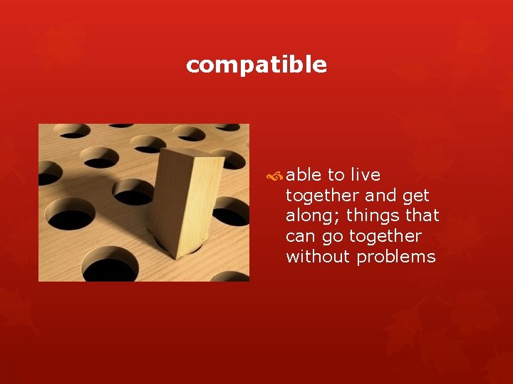 compatible able to live together and get along; things that can go together without