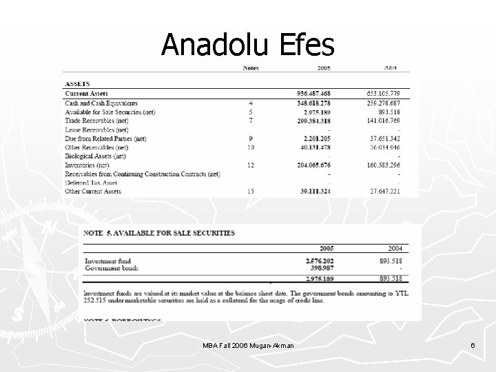 Anadolu Efes MBA Fall 2006 Mugan-Akman 6 